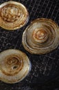 Onion rings fried in oil in frying pan Royalty Free Stock Photo