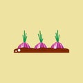 onion seedling on fertile soil. Vector illustration decorative design