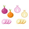 onion set. Cut in half, slice and onion rings. Isolated vector illustration Royalty Free Stock Photo