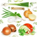 Onion set, realistic vector icons