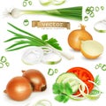 Onion set, vector icons
