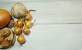 Onion and garlic on a white table