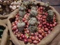 Group of shallots in brown gunny sack