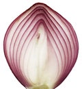 Onion slice