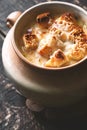 Onion soup in the ceramic pot on the wooden table Royalty Free Stock Photo