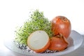 Onion sprouts Royalty Free Stock Photo