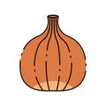 onion thanksgiving icon vector