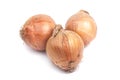 Onion Royalty Free Stock Photo