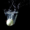 An onion thrown into clear, clear water Royalty Free Stock Photo