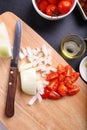 Onion and tomatoes slice for tomatoes soup ingredient Royalty Free Stock Photo