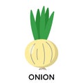 Onion, vector illustration in cartoon flat stye. Food and vegetable concept. Print for recipes, restaurant, supermarket Royalty Free Stock Photo