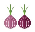 Onion