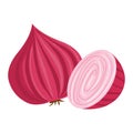 Onion vector.Onion illustration