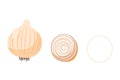 Onion. Vector set in cartoon style. Isolated vegetables