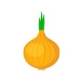 Onion vegetable clipart simple icon. Onion cartoon.