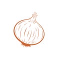Onion is a vegetable that is in demand in many dishes