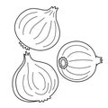 Onion Vegetable Isolated Coloring Page for Kids