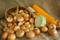 Onion and vegetables on sacking