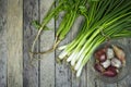 Onion welsh, onion, garlic and coriander on wood plank