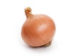Onion Royalty Free Stock Photo
