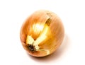 Onion