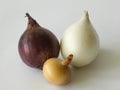 Onions Royalty Free Stock Photo