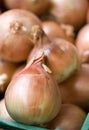 Onions Royalty Free Stock Photo