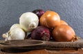 Onions Allium cepa in white, purple and yellow varieties on wooden surface Royalty Free Stock Photo