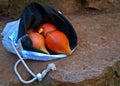 Onions in Bag Royalty Free Stock Photo