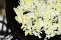 Onions are baked in a frying pan Royalty Free Stock Photo