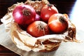 Onions basket. Brazilian seasonings. Typical spice present in brazilian food