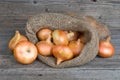 Onions on burlap sack Royalty Free Stock Photo