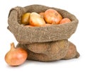 Onions in burlap sack