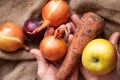 Onions, carrots and apple dirty in the hands of grandmother on the table, harvest, vegetables Royalty Free Stock Photo