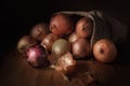 Onions in a cloth bag Royalty Free Stock Photo