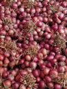 Onions collection for super market sale ingredients vigitebals natural