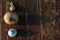 Onions on cracked faded paint on old boards, grunge texture Royalty Free Stock Photo