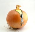 Onions with a fastener