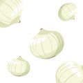 onions fresh vegetable white background