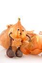 Onions with funny doll Royalty Free Stock Photo