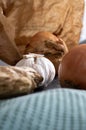 Onions, garlic and ginger in front of a paper bag when preparing food Royalty Free Stock Photo