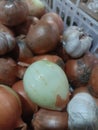 onions with garlic near the market city lampung Indoensia