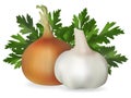 Onions, garlic and parsley. Isolated image.
