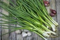 Onions garlic and welsh onion Royalty Free Stock Photo