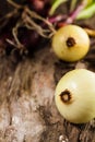 Onions on grunge wood Royalty Free Stock Photo