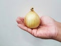 Onions on the hands white background