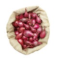 Onions intended for planting in a linen bag, view from above Royalty Free Stock Photo