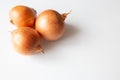 Onions isolated on white background. Top view Royalty Free Stock Photo