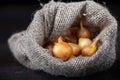 Onions in a jute bag on a black wooden background. Spreading yellow onions.Burlap bag with onions Royalty Free Stock Photo
