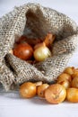 Onions in a jute bag on a wite wooden background. Spreading yellow onions.Burlap bag with onions. Vertical orientation. Royalty Free Stock Photo